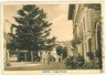 04953  CARTOLINA d'Epoca: LUCCA: BARGA - LARGO ROMA