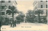 CARTOLINA d'Epoca - GENOVA:  NERVI - VIALE DELLE PALME 1908