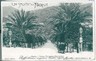 CARTOLINA d'Epoca - GENOVA:  NERVI - VIALE VITTORIO EMANUELE 1901