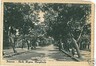 CARTOLINA d'Epoca:  PESCARA Citta'