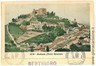 05622  CARTOLINA d'Epoca - FORLI: BERTINORO