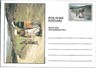 ETHNIC  FOLKLORE  COSTUME -  POSTAL STATIONERY - TRANSKEI