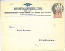 EAGLES BIRDS -  POSTAL STATIONERY  COVER -  GERMANY 1908