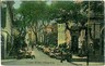 HONG KONG - VINTAGE POSTCARD - FLOWER STREET