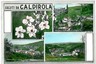 CARTOLINA d'Epoca: ALESSANDRIA - CALDIROLA