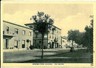 04800  CARTOLINA d'Epoca:  LIVORNO - DONORATICO: VIALE AURELIA