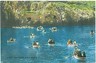 CARTOLINA d'Epoca: CAPRI - INGRESSO GROTTA AZZURRA