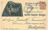 CARTOLINA d'Epoca: BOLOGNA Città: PUBBLICITARIA 1899