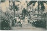 VINTAGE POSTCARD - SRI LANKA - COLOMBO : ETHNIC