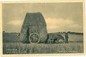 02391 ETHNIC vintage postcard: PORTUGAL - VIDIGUERA