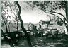 CARTOLINA d'Epoca - GENOVA:  Bogliasco 1954
