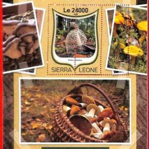 A4635 - SIERRA LEONE - ERROR MIPERF, Sonderblock: 2016, Pilze
