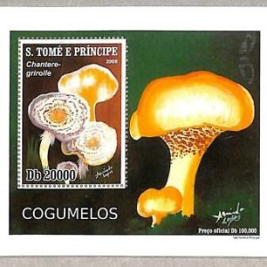 A3356 - SAO TOME & PRINCIPE ERROR MISSPERF Kleinbogen: 2008, Pilze