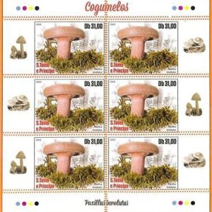 A6748 - SAO TOME & PRINCIPE, Error, 2020, HOJA MINIATURA MISSPERF: Champiñones