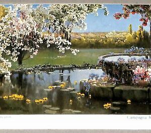 ab0041 - VINTAGE POSTCARD - ROME City: Roman countryside