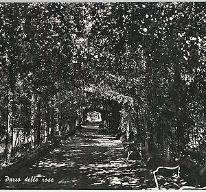 52973  - CARTOLINA d'Epoca - GORIZIA provincia -  GRADO: Parco delle Rose