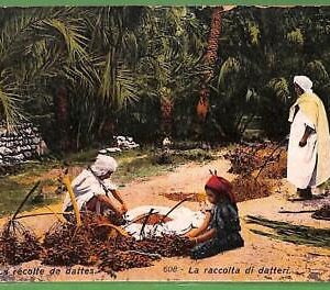 ah2255   - VINTAGE POSTCARD  -  ETHNIC Collecting Dates