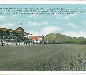 25384  - USA -VINTAGE POSTCARD: TEXAS : JUAREZ RACE COURCE : HORSE RACING