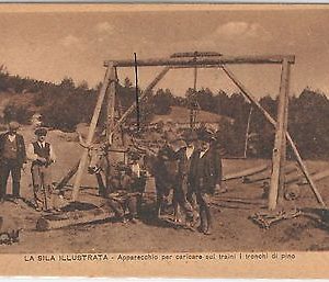 44555  CARTOLINA d'Epoca - COSENZA   - SILA ILLUSTRATA - BELLA!  n. 10152