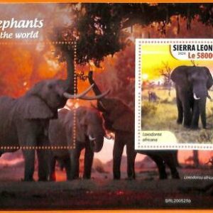 A6777 - SIERRA LEONA, Error, 2020, HOJA DE RECUERDO MISSPERF: Elefantes