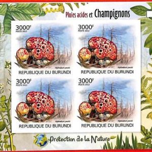 A0192 - BURUNDI - ERROR, 2012  IMPERF SHEET:  nature MUSHROOMS Fungi