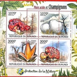 A0196 - BURUNDI - ERROR, 2012 MISSPERF SHEET:  nature MUSHROOMS Fungi