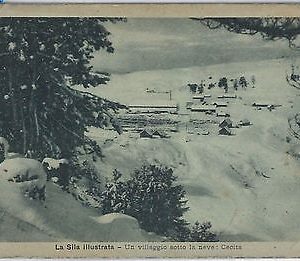 44564  CARTOLINA d'Epoca - COSENZA  - SILA ILLUSTRATA 1925 - Cecita -  2-3989