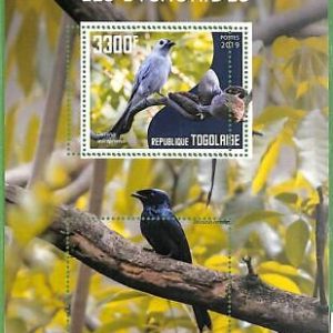A3041 - TOGO, ERROR MISSPERF, Souvenir sheet: 2019, Ashy drongo, Birds