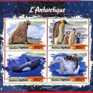 A3030 -TOGO, ERROR MISSPERF Miniature s: 2019 Antartica, Penguins, Elephant seal