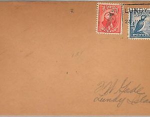 59787 -  LUNDY - POSTAL HISTORY:  COVER   -  BIRDS Puffin