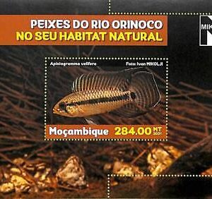 A8168 - MOCAMBIQUE - ERROR MISPERF Stamp Sheet -2021 MARINE LIFE Fishes
