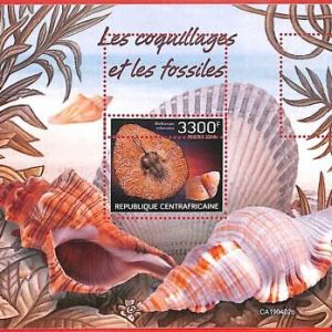 A3856 - Central African Rep - ERROR MISPERF Souvenir Sheet, 2019 Shells, Fossils