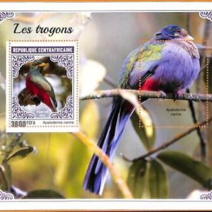 A5626 - CENTRAL AFRICAN REP - ERROR, 2021 МISPERF SOUVENIR SHEET: Birds, Trogons
