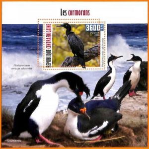 A5630 - CENTRAL AFRICAN REP - ERROR, 2020, МISPERF SOUVENIR S: Birds, Cormorants