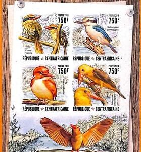 A5681 - CENTRAL AFRICAN REP, ERROR, 2016 IMPERF MINI S: Birds, Common kingfisher