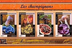 A5793 - CENTRAL AFRICAN REP - ERROR, 2017, МISPERF MINIATURE SHEET: Mushrooms