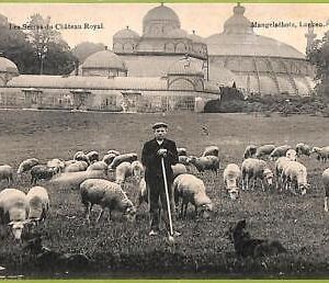 af4960 - BELGIUM Belgique - Carte Postal Ancienne VINTAGE POSTCARD - Laeken