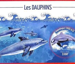 A4951 - TOGO - ERROR MISPERF, Souvenir sheet: 2019, Dolphins, Marine life