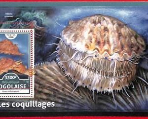 A4961 - TOGO - ERROR MISPERF, Souvenir sheet: 2016, Sea Shells, Marine Life