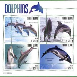 A2535 - SIERRA LEONE - ERROR: MISPERF Miniature s - 2019 Dolphins, Marine Life