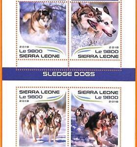 A6782 - SIERRA LEONE, Error, 2018, MISSPERF MINI S: Sledge Dogs, Siberian Husky