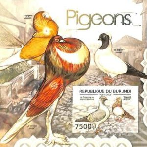 A0064b - BURUNDI - ERROR, 2012  IMPERF SHEET -  Birds PIGGEONS