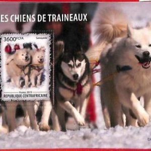 A1643 CENTRAL AFRICAN - ERROR: MISSPERF S/S - 2019, Sled dogs, Samoyed dogs