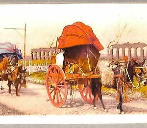ab0282 - VINTAGE POSTCARD - ROME City: On the Via Appia