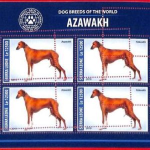 A4705 - SIERRA LEONE - ERROR MISPERF, Miniatura hoja: 2019, Azawakh Dogs