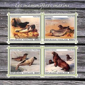 A8873a - TOGOLAISE - ERROR MISPERF Stamp Sheet - 2021 MARINE MAMMALS