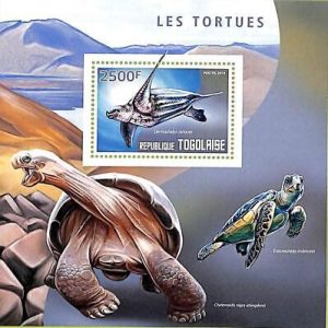 A8876 - TOGOLAISE - Stamp Sheet - 2014 TURTLES