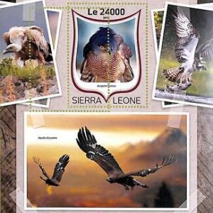 A8481 - SIERRA LEONE -ERROR MISPERF  Stamp Sheet - 2016 BIRDS  of PREY
