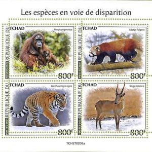 A8737 - TCHAD - ERROR MISPERF Stamp Sheet - 2021 ENDANGERED SPECIES Tigers