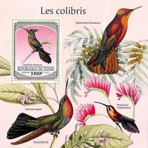 A8749 - TCHAD - ERROR MISPERF Stamp Sheet - 2021 BIRDS OF PREY COLIBRI